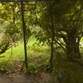 20220226_154538.jpg