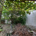 20220226_154758.jpg