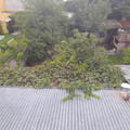 20220226_161103.jpg