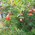 20220226_170753.jpg