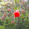 20220226_170814.jpg