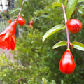 20220226_170821.jpg
