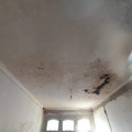 20221102_065622.jpg