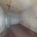 20221102_065639.jpg