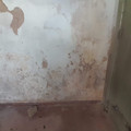 20221102_065645.jpg