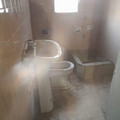 20221102_065734.jpg