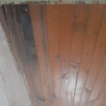 20221102_065738.jpg