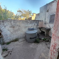 20221102_070035.jpg