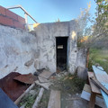 20221102_070049.jpg