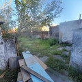 20221102_070052.jpg