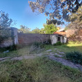 20221102_070138.jpg