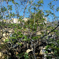 IMG-20210921-WA0015.jpeg