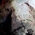 IMG_20210602_123434302.jpg