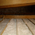 IMG_20210602_123447468.jpg