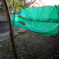 IMG_20210607_084514814.jpg