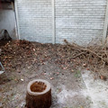 IMG_20210619_171619648.jpg