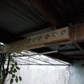 IMG_20210626_174402619.jpg