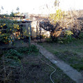 IMG_20210705_164945995.jpg