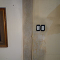IMG_20210717_173006903.jpg