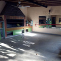 IMG_20210718_103302595.jpg