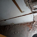 IMG_20210720_191726737.jpg