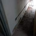 IMG_20210720_191744881.jpg