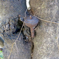 IMG_20210807_125353390.jpg