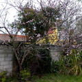 IMG_20210809_143706744.jpg