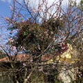 IMG_20210810_113032158.jpg