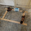 IMG_20210815_195535977.jpg