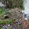 IMG_20210919_170745166.jpg